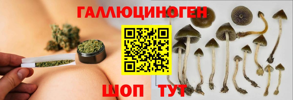 купить наркотик  Псилоцибиновые грибы мухоморы  Вход с VPN  Дербент 